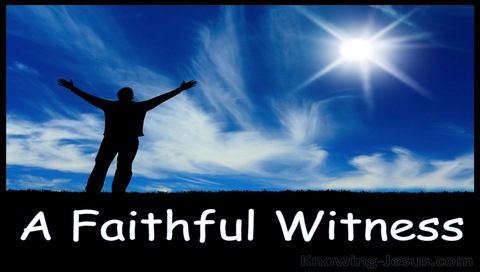A Faithful Witness (devotional)05-07 (black)